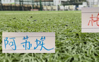对于海港 申花来说 第6外援回归 下半年会是另外一个故事吗