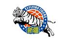 新疆男篮官方：我俱乐部拖欠主场啦啦宝贝表演款项是不实消息