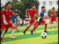 西班牙VS奥地利直播_西班牙VS奥地利高清直播免费入口_西班牙VS奥地利直播无插件版